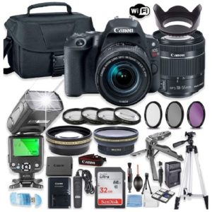 canon rebel sl2 as webcam